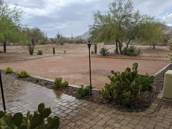 Rain in the Sonoran Desert